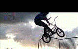 bmxer