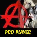 pro_player